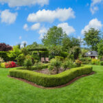 Reimagining Yards with Sustainable Green Ideas