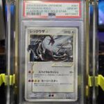 Shadow Forms and Silent Shelves: The Rise of Phantom Display Collectibles